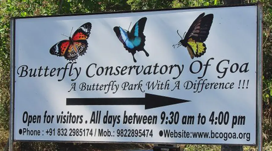 Butterfly Conservatory, Goa